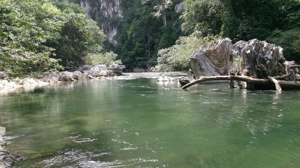 Cañón del río Claro con paredes de roca y vegetación