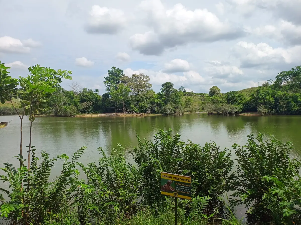 What to see at Hacienda Nápoles: hippos, safari, water parks and a recommended route